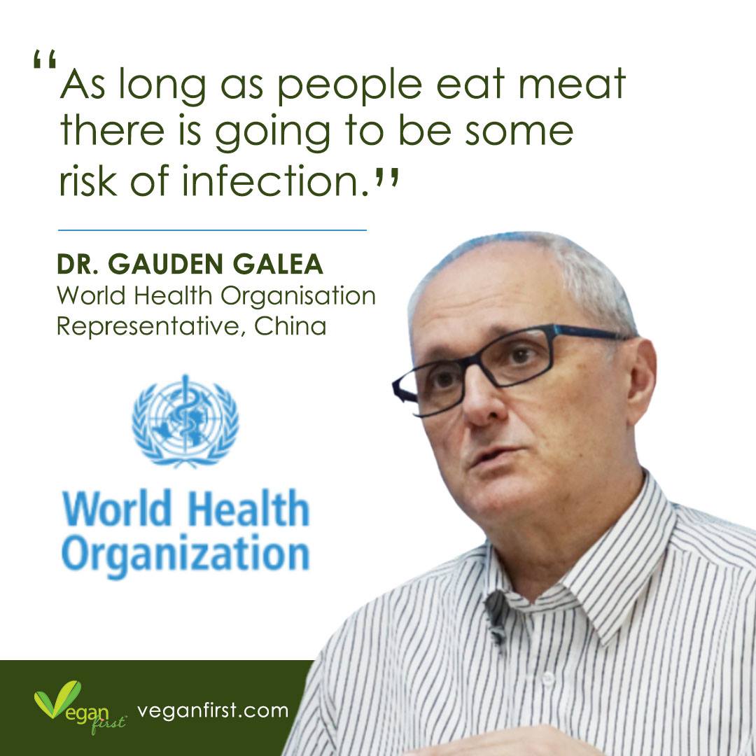 World Health Organisation Vegan Diet