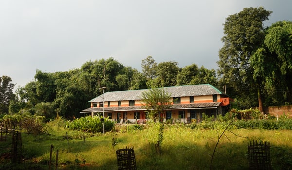 peepal farm dharamsala