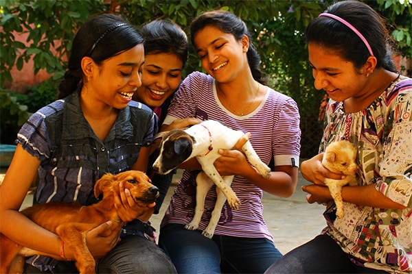 Falling in Love (with street dogs!) And why they sometimes bark.