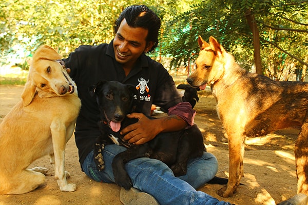 Falling in Love (with street dogs!) And why they sometimes bark.